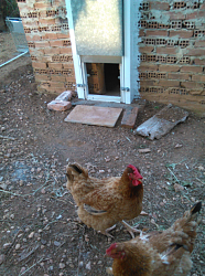 AUTOMATIC CHICKEN COOP DOOR-6.png