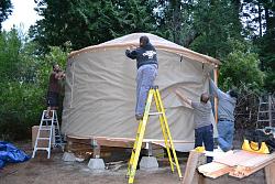 CabinBuilds.net: Whidbey Island Yurt by Eric-yurt3.jpg