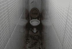 Drywalling a recessed nook - GIF-toilet1.png