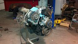 FordBuilds.net: '56 Ford F500 Dually by zinc-vert02-56f5003.jpg