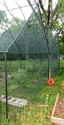 Geodesic Greenhouse-img_9201.jpg