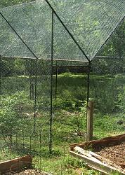 Geodesic Greenhouse-img_9233.jpg