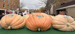 Giant pumpkin growing timelapse - GIF-2022pump0.jpg