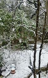 Holy cow-snow-january-21.jpg