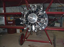 PlaneBuilds.net: Fokker DRI by Wayne Holden-20-82mounted.jpg