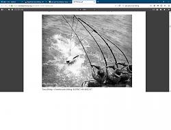 Rapid team tuna fishing - GIF-jackpole.jpg