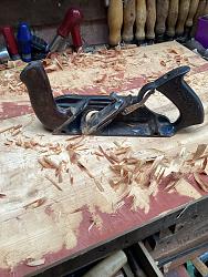 Scrub plane-img_0893.jpeg