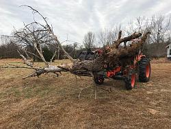 Tractor Brush/Tree Grapple-grapple-tree.jpg